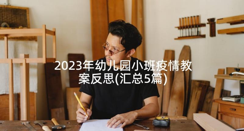 2023年幼儿园小班疫情教案反思(汇总5篇)