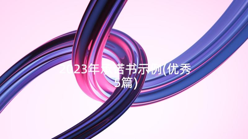 2023年承诺书示例(优秀5篇)