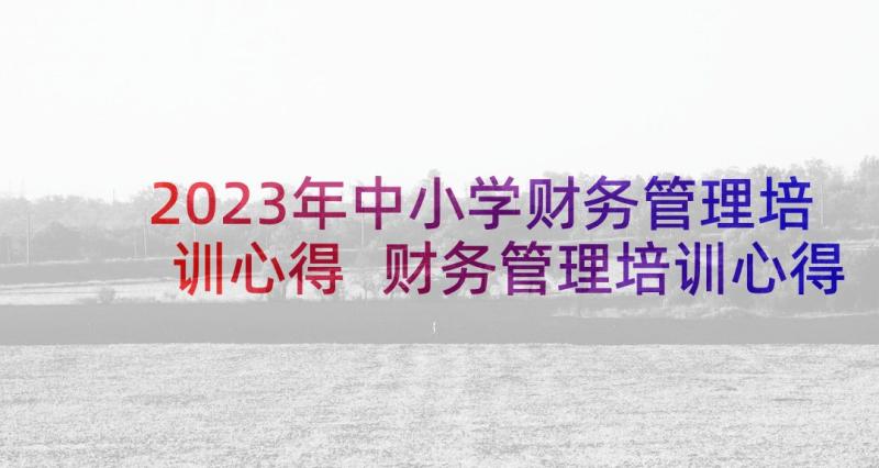 2023年中小学财务管理培训心得 财务管理培训心得(模板5篇)