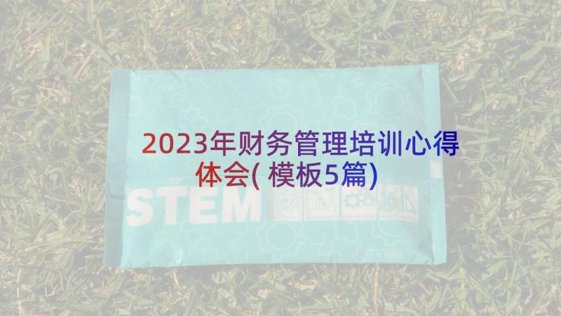 2023年财务管理培训心得体会(模板5篇)