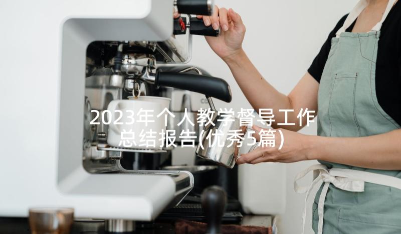 2023年个人教学督导工作总结报告(优秀5篇)