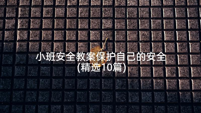 小班安全教案保护自己的安全(精选10篇)