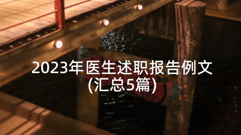 2023年医生述职报告例文(汇总5篇)