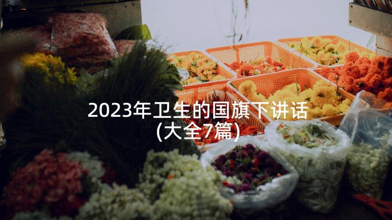 2023年卫生的国旗下讲话(大全7篇)