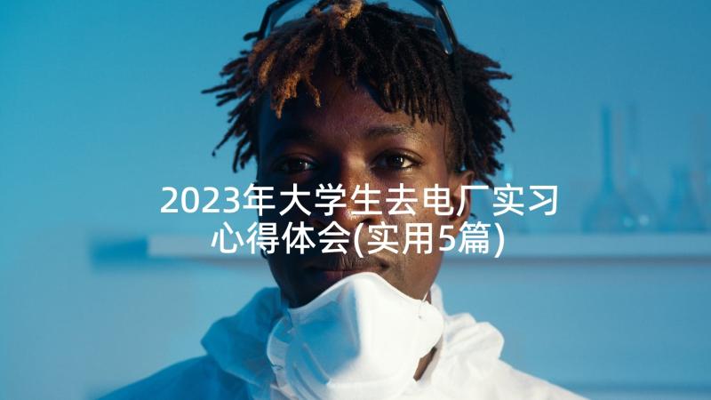 2023年大学生去电厂实习心得体会(实用5篇)