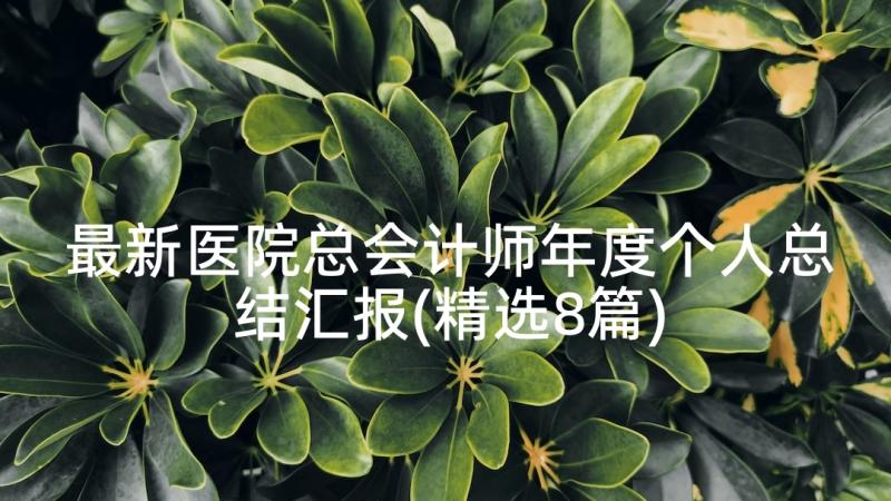 最新医院总会计师年度个人总结汇报(精选8篇)