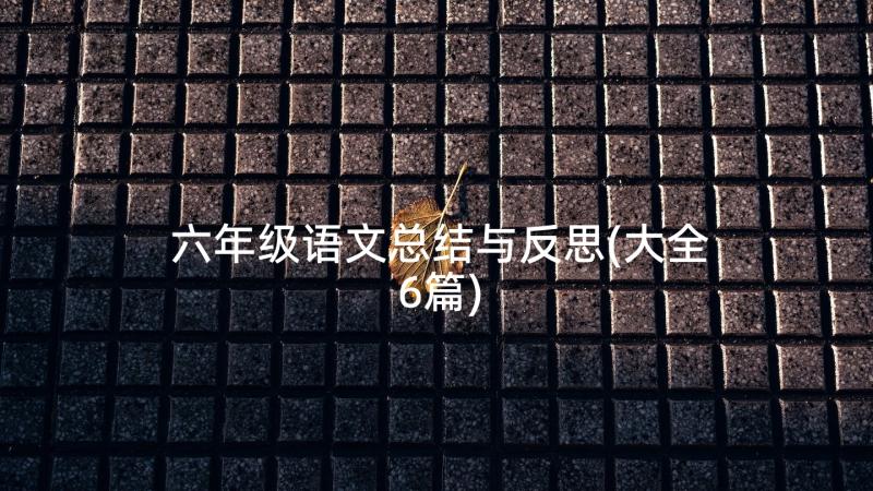 六年级语文总结与反思(大全6篇)