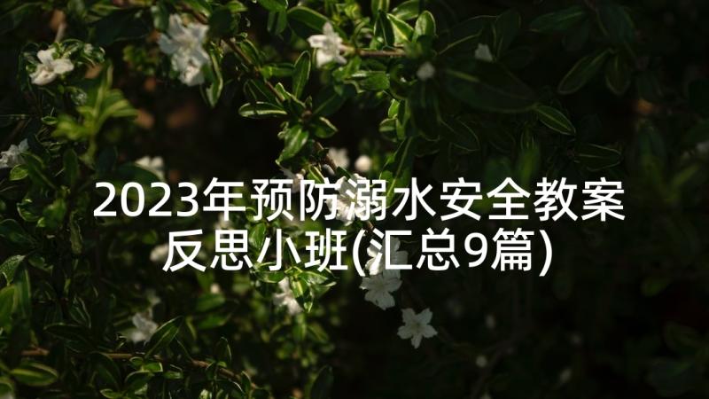 2023年预防溺水安全教案反思小班(汇总9篇)