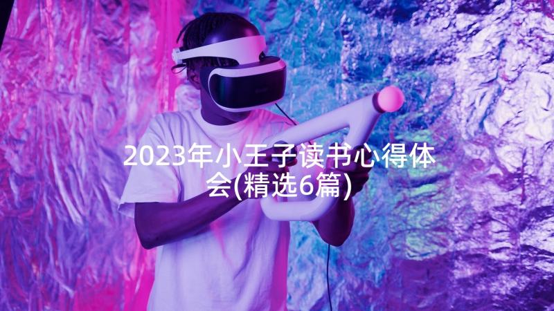 2023年小王子读书心得体会(精选6篇)