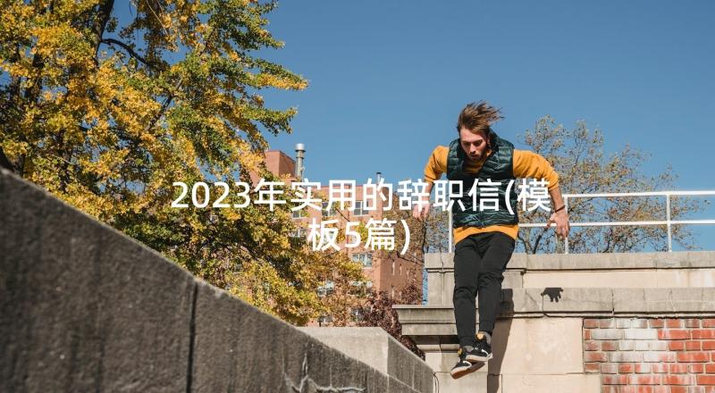 2023年实用的辞职信(模板5篇)