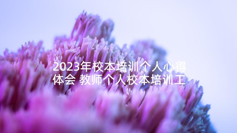 2023年校本培训个人心得体会 教师个人校本培训工作总结(大全10篇)