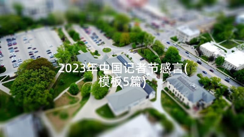 2023年中国记者节感言(模板5篇)