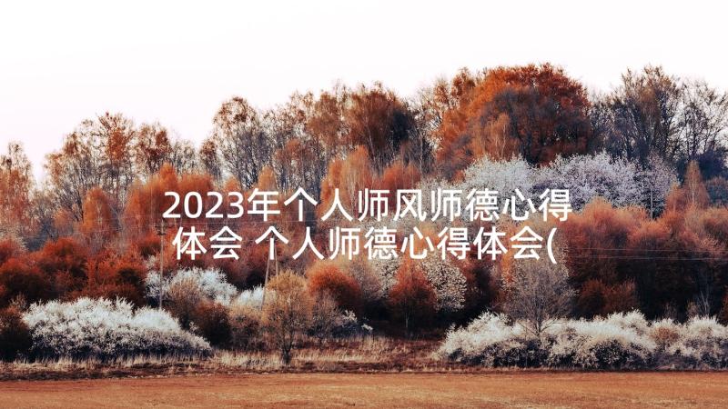 2023年个人师风师德心得体会 个人师德心得体会(通用9篇)