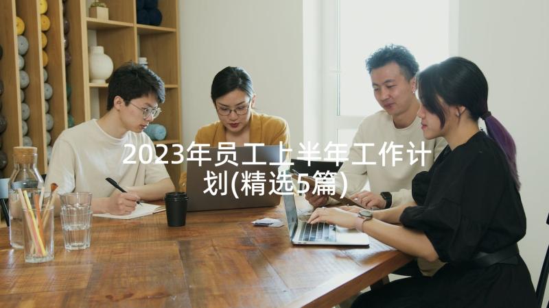 2023年员工上半年工作计划(精选5篇)