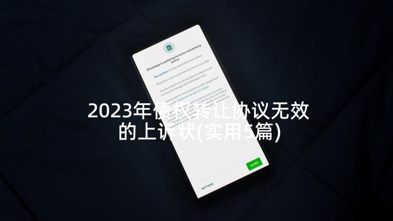 2023年债权转让协议无效的上诉状(实用5篇)