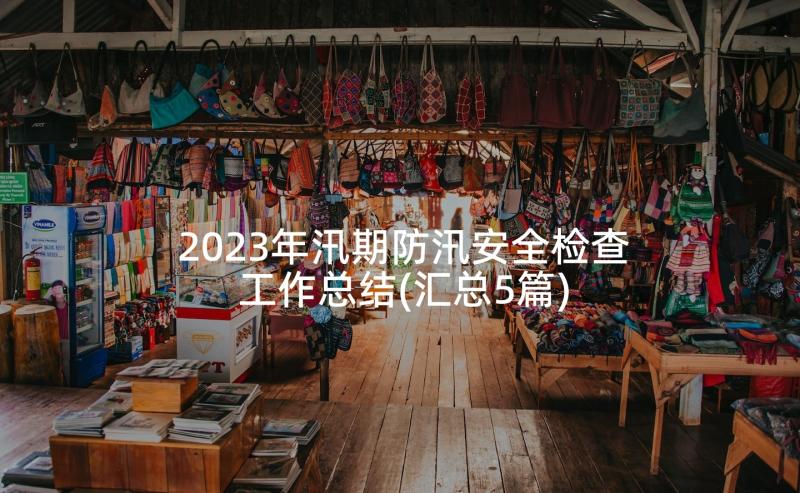 2023年汛期防汛安全检查工作总结(汇总5篇)