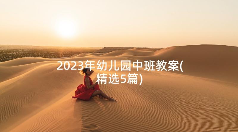 2023年幼儿园中班教案(精选5篇)