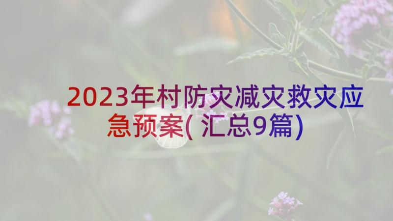 2023年村防灾减灾救灾应急预案(汇总9篇)