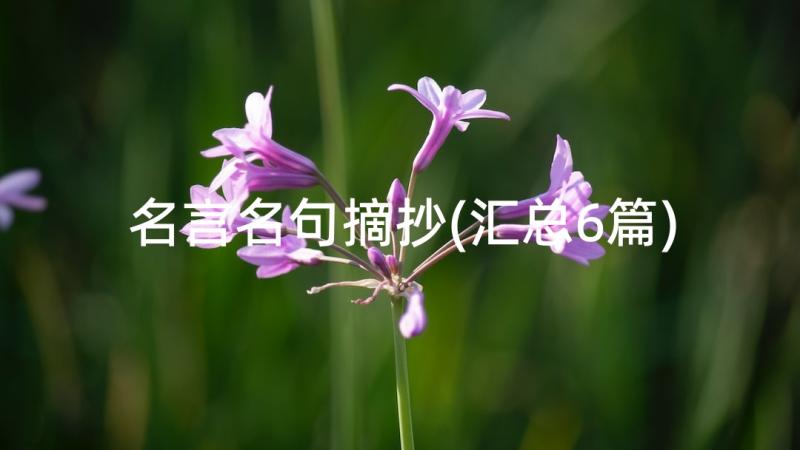 名言名句摘抄(汇总6篇)