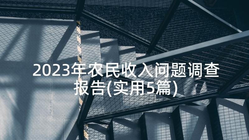 2023年农民收入问题调查报告(实用5篇)