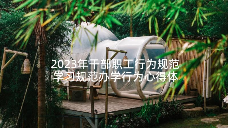 2023年干部职工行为规范 学习规范办学行为心得体会(大全6篇)