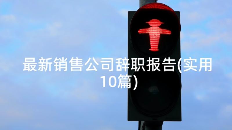 最新销售公司辞职报告(实用10篇)