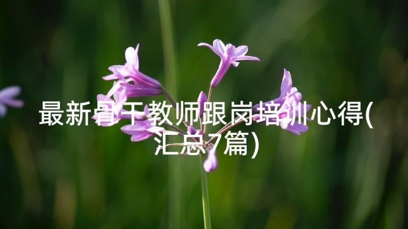 最新骨干教师跟岗培训心得(汇总7篇)