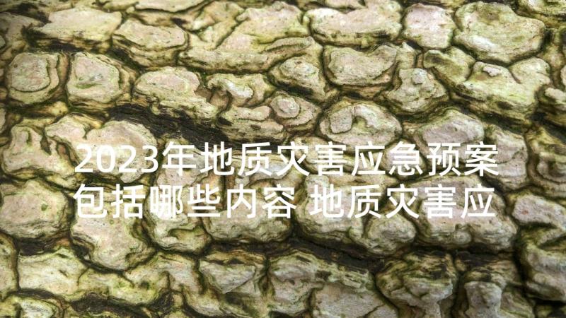 2023年地质灾害应急预案包括哪些内容 地质灾害应急预案(模板9篇)