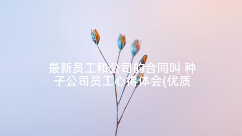 最新员工和公司的合同叫 种子公司员工心得体会(优质7篇)