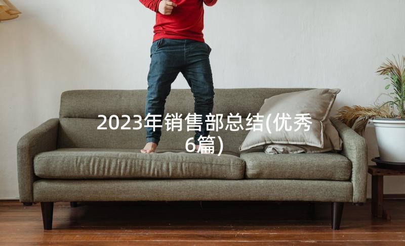 2023年销售部总结(优秀6篇)