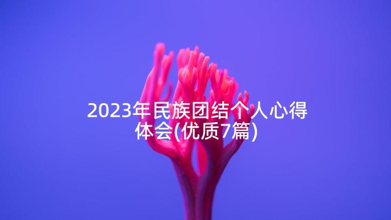 2023年民族团结个人心得体会(优质7篇)