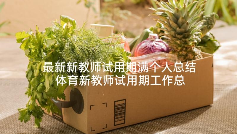 最新新教师试用期满个人总结 体育新教师试用期工作总结(汇总7篇)