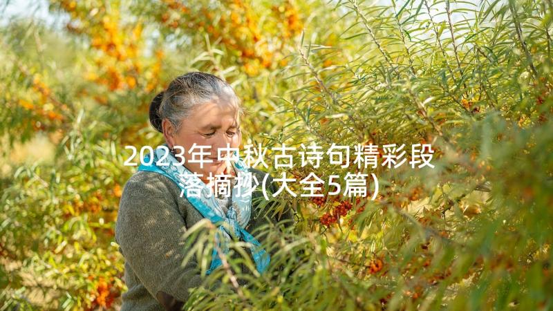 2023年中秋古诗句精彩段落摘抄(大全5篇)