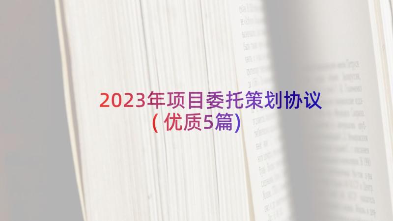 2023年项目委托策划协议(优质5篇)