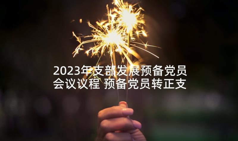 2023年支部发展预备党员会议议程 预备党员转正支部大会会议记录(优秀5篇)