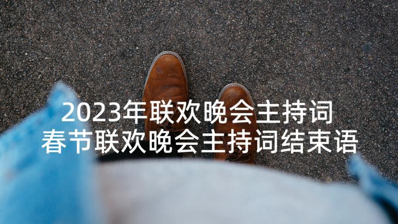 2023年联欢晚会主持词 春节联欢晚会主持词结束语(优秀6篇)