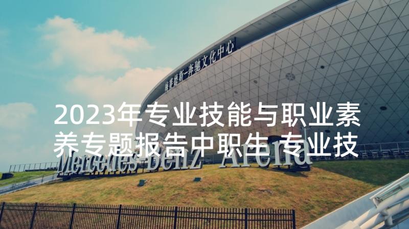 2023年专业技能与职业素养专题报告中职生 专业技能与素养(大全5篇)