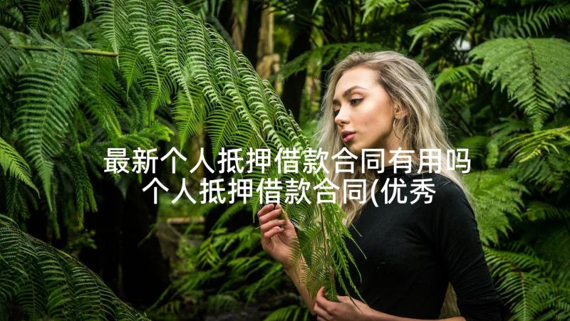 最新个人抵押借款合同有用吗 个人抵押借款合同(优秀9篇)