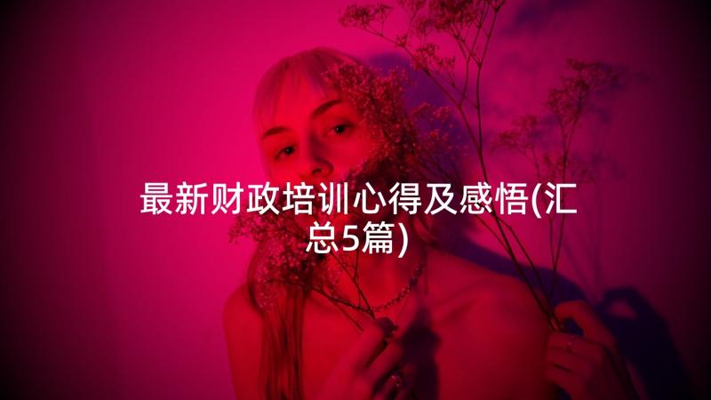 最新财政培训心得及感悟(汇总5篇)