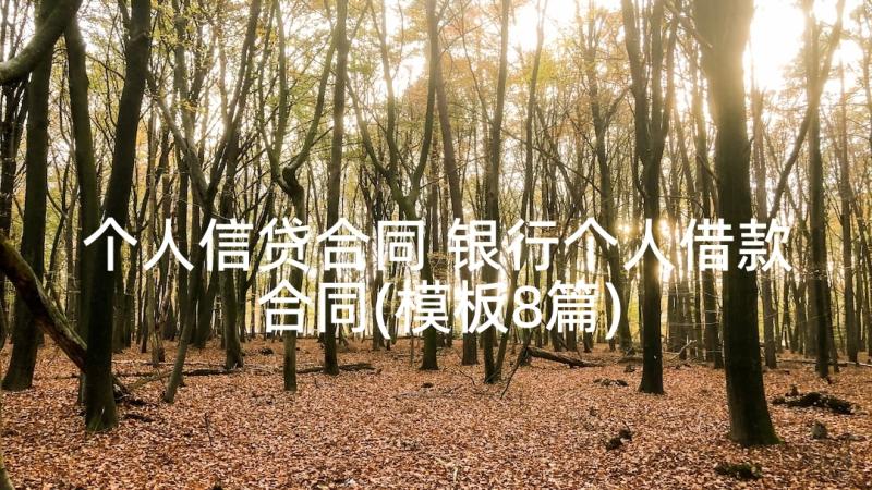 个人信贷合同 银行个人借款合同(模板8篇)