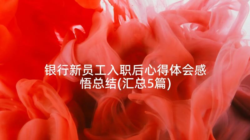 银行新员工入职后心得体会感悟总结(汇总5篇)