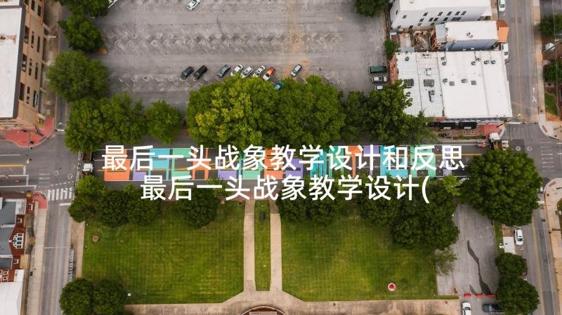 最后一头战象教学设计和反思 最后一头战象教学设计(大全5篇)