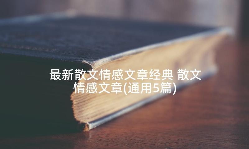 最新散文情感文章经典 散文情感文章(通用5篇)