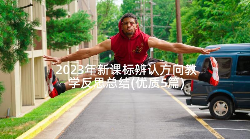 2023年新课标辨认方向教学反思总结(优质5篇)