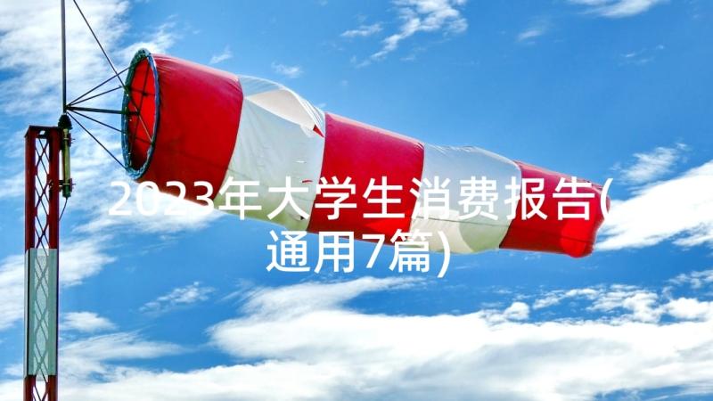 2023年大学生消费报告(通用7篇)