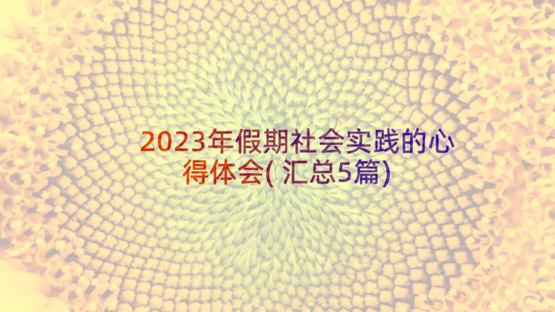 2023年假期社会实践的心得体会(汇总5篇)