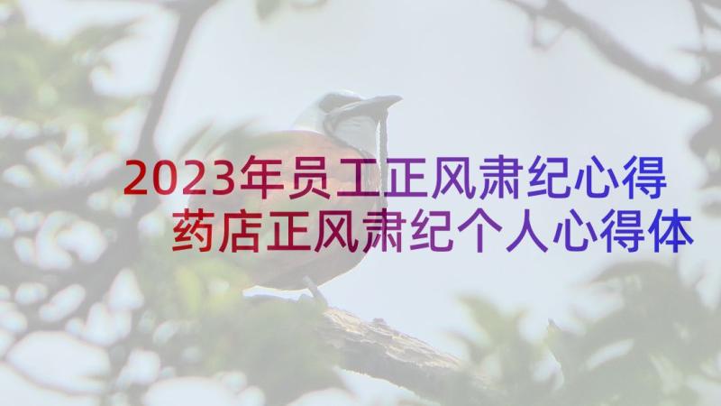 2023年员工正风肃纪心得 药店正风肃纪个人心得体会(汇总5篇)