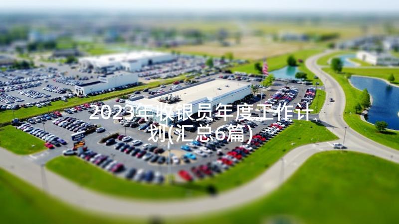 2023年收银员年度工作计划(汇总6篇)