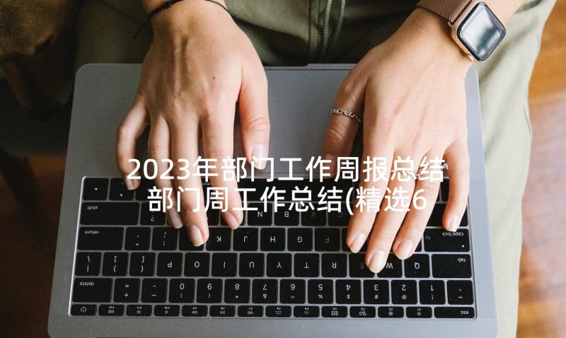 2023年部门工作周报总结 部门周工作总结(精选6篇)