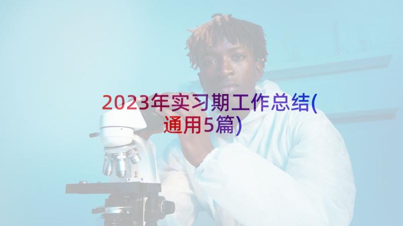 2023年实习期工作总结(通用5篇)